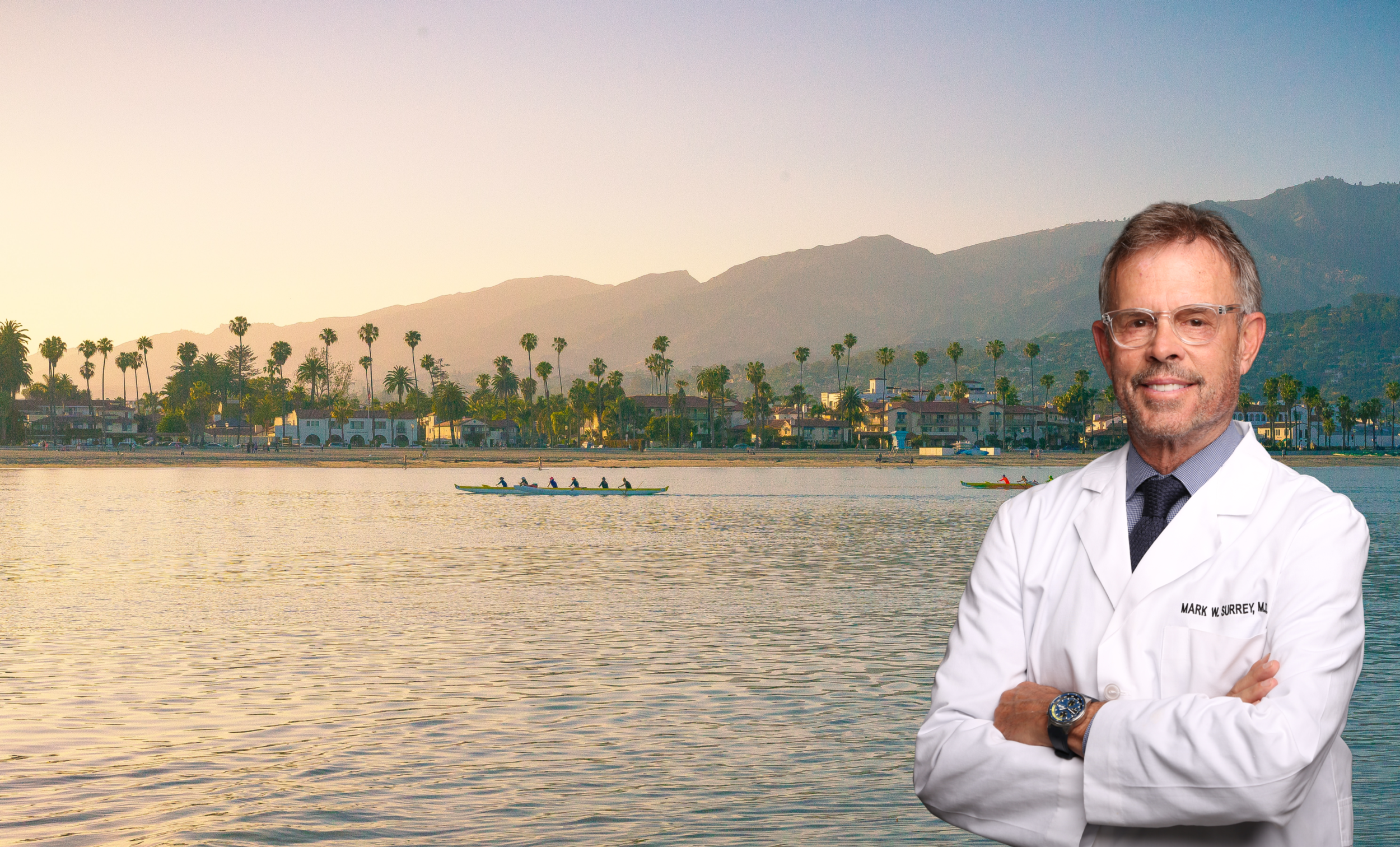 Surrey SB header (1).png